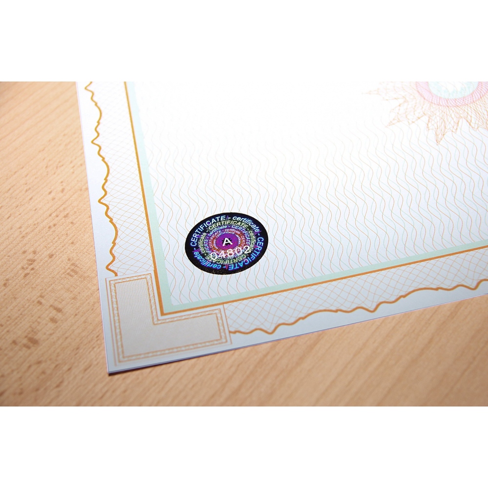 Universal guilloche paper with pressed numbered hologram with landscape orientation